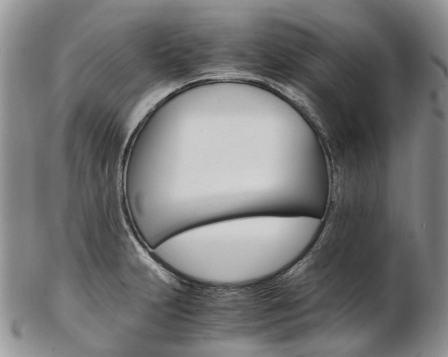 X0000103141231200808221057