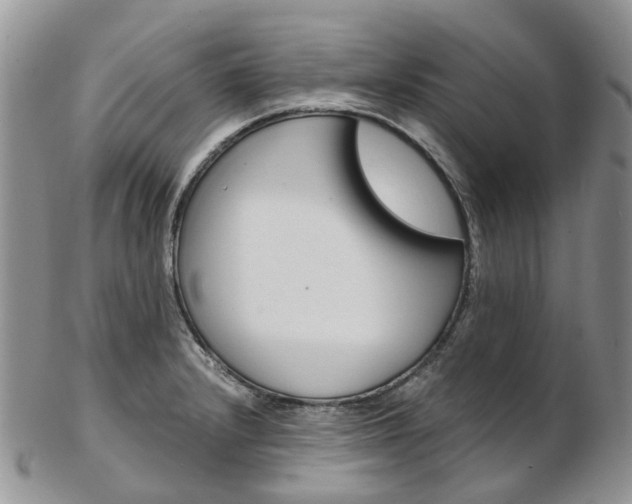 X0000103141232200808221057