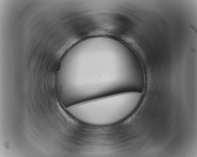 X0000103141233200808221057