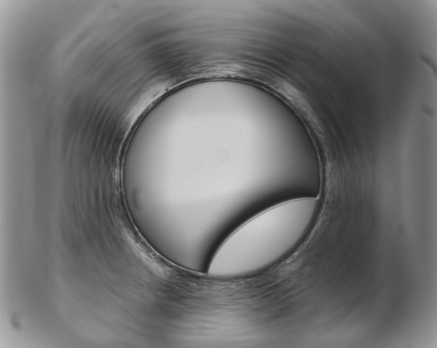 X0000103141234200808221057