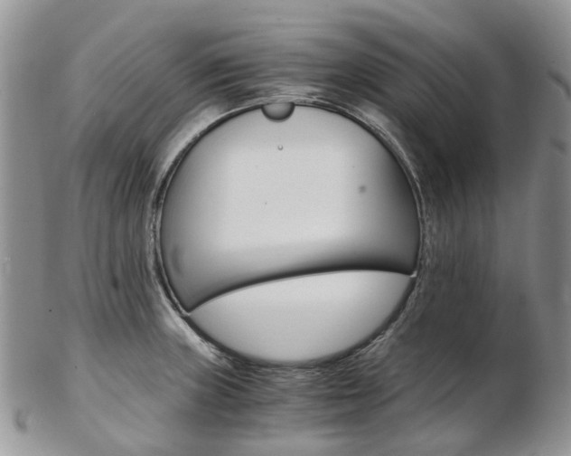 X0000103141235200808221057