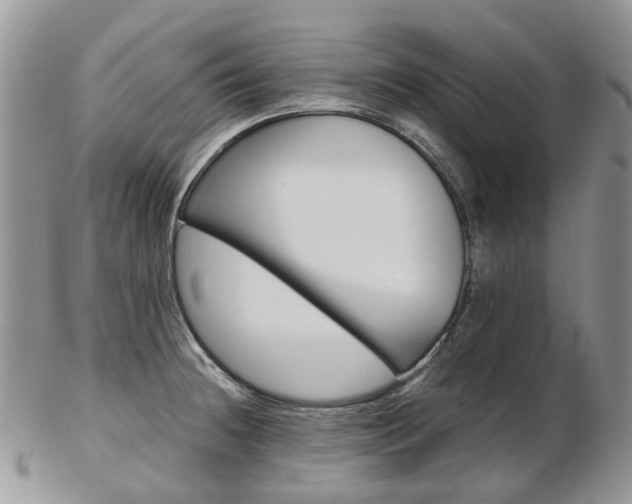 X0000103141236200808221057
