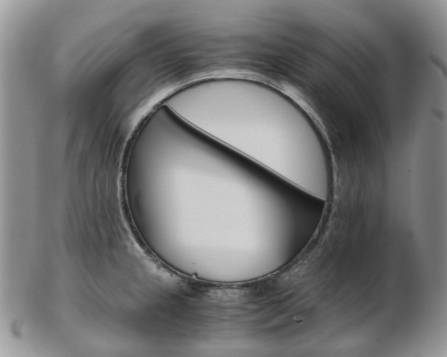 X0000103141237200808221057
