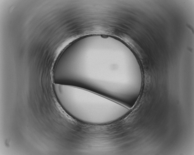 X0000103141238200808221057