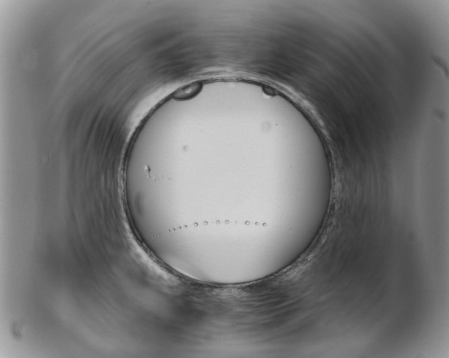 X0000103141239200808221057