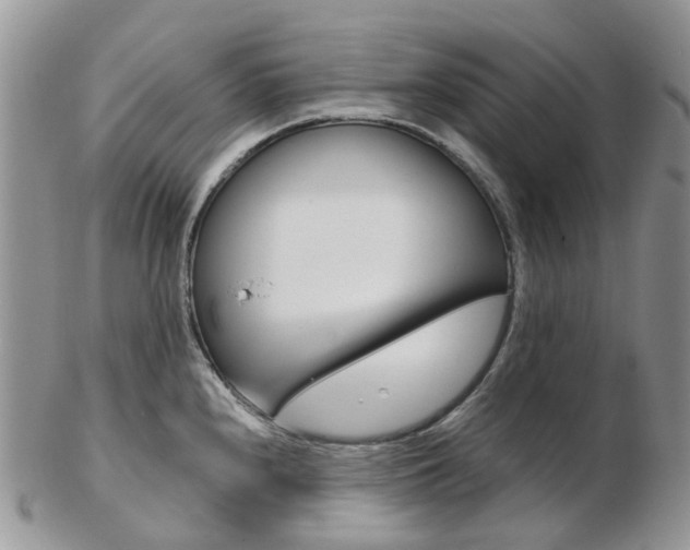X0000103141240200808221057