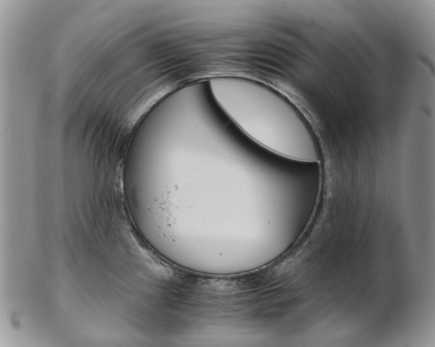 X0000103141241200808221057