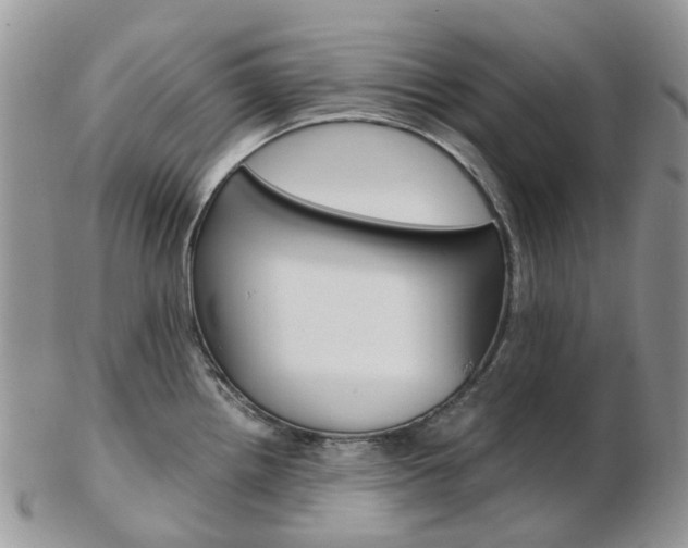 X0000103141242200808221057