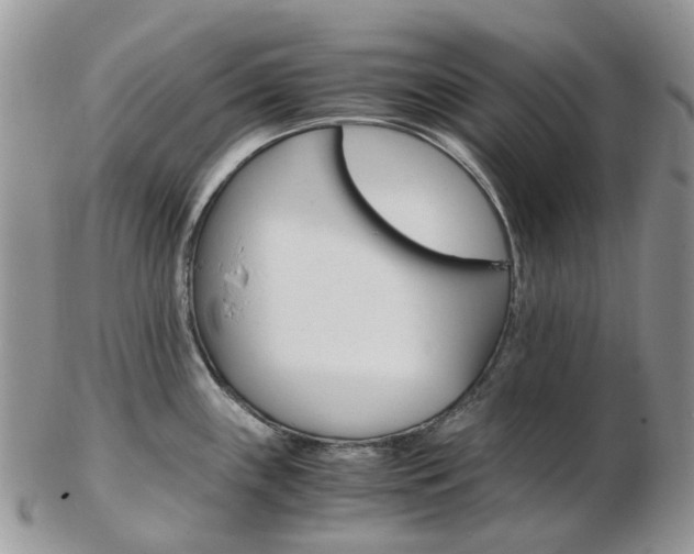 X0000103141243200808221057