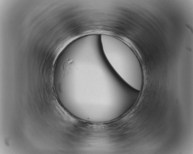 X0000103141244200808221057