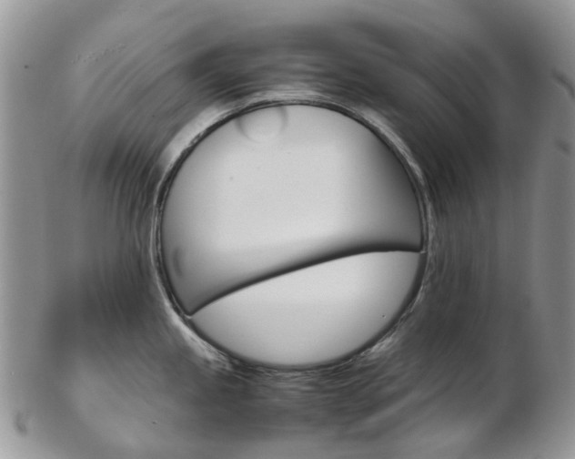 X0000103141245200808221057