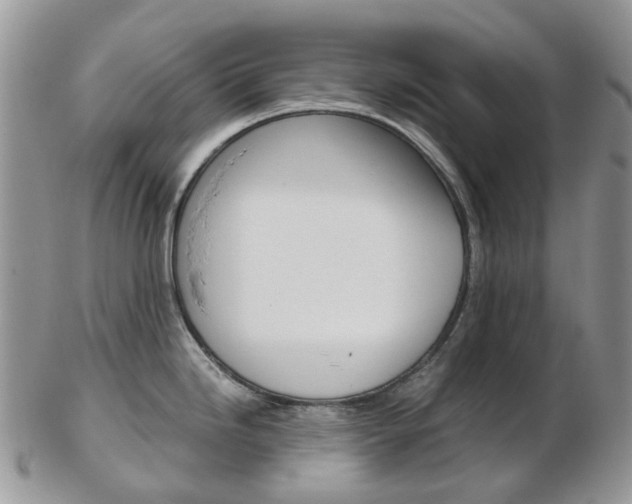 X0000103141246200808221057