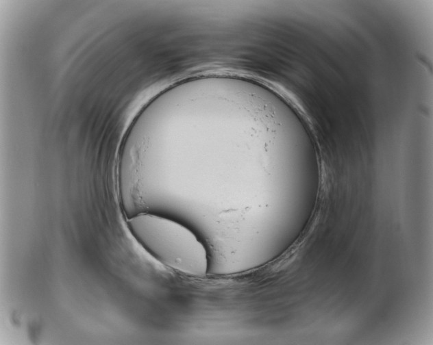 X0000103141247200808221057