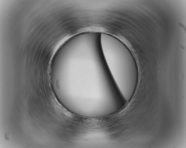 X0000103141248200808221057