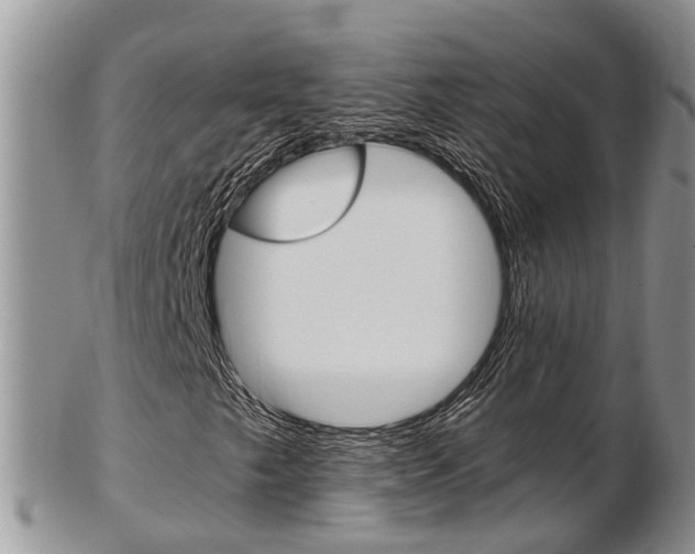 X0000103141249200808221056