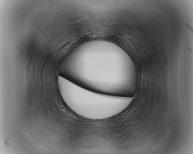 X0000103141250200808221056