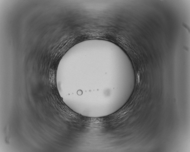 X0000103141251200808221056