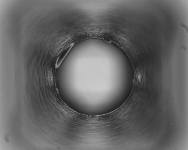X0000103141252200808221056