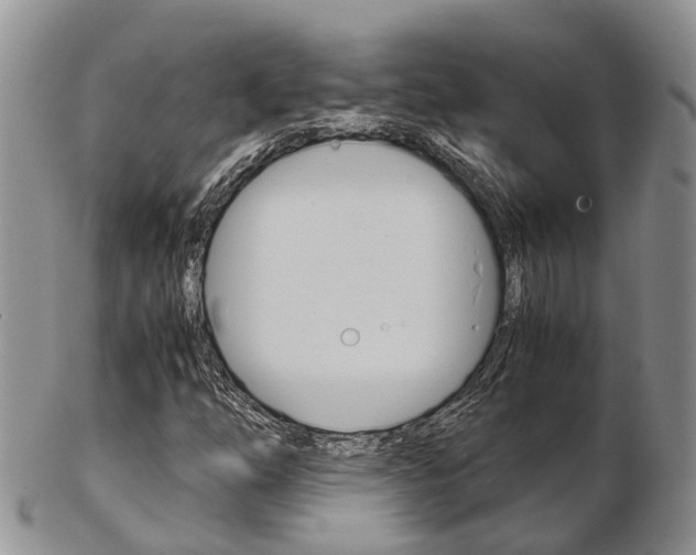 X0000103141254200808221056
