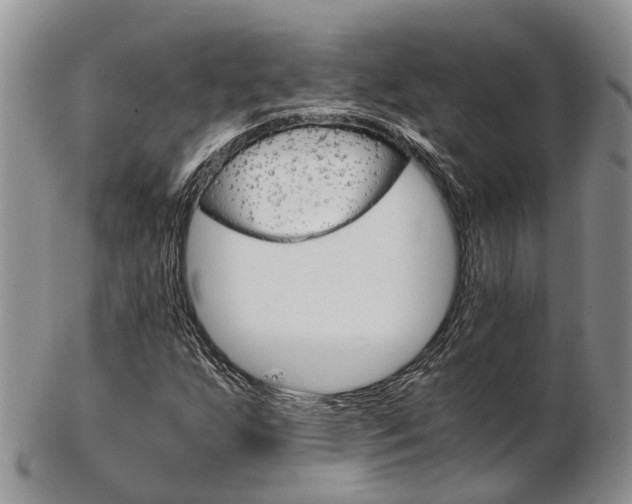 X0000103141255200808221056