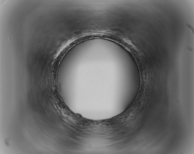 X0000103141256200808221056