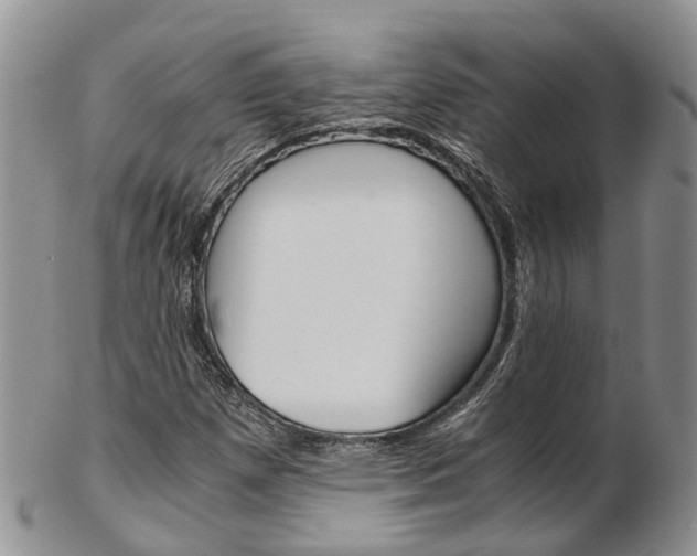 X0000103141257200808221056