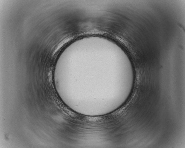 X0000103141258200808221056