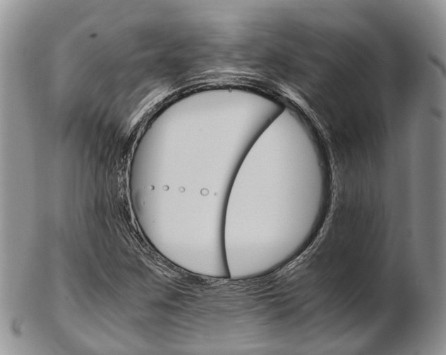 X0000103141259200808221056