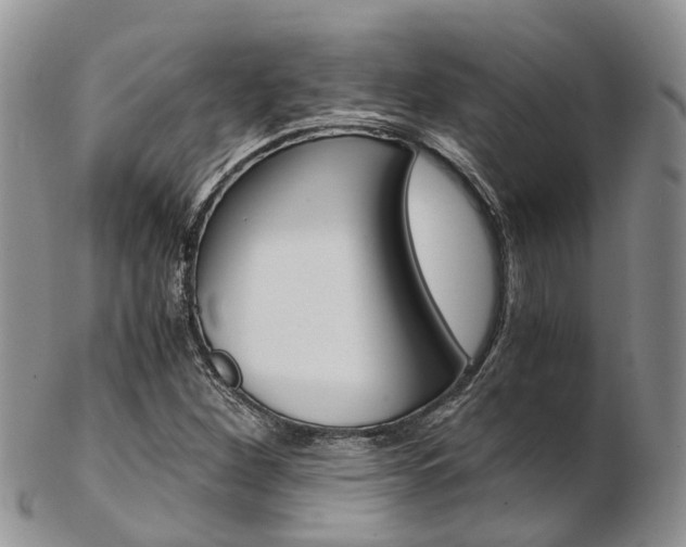 X0000103141260200808221056