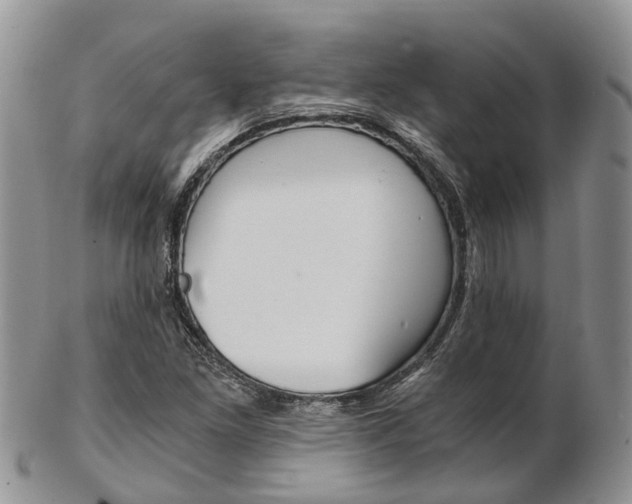 X0000103141261200808221056