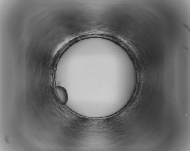 X0000103141262200808221056