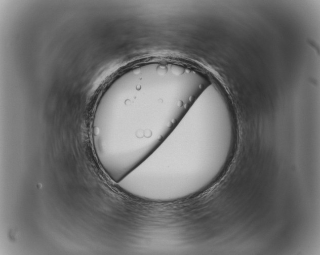 X0000103141263200808221056