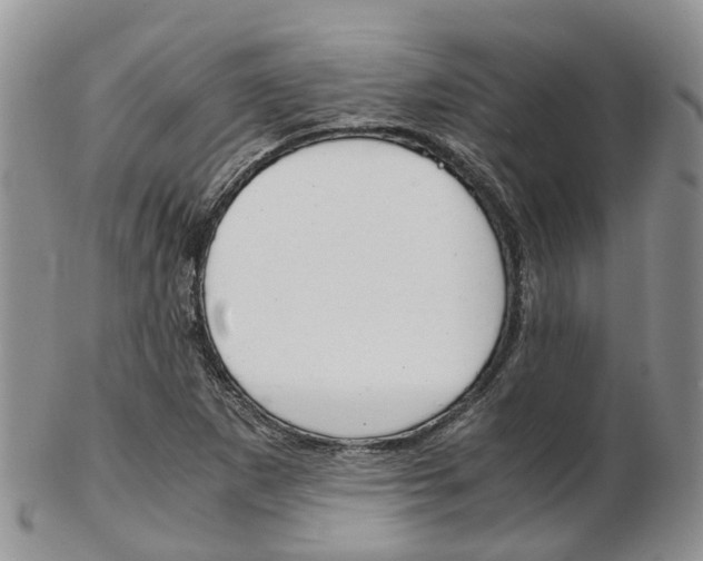 X0000103141265200808221056