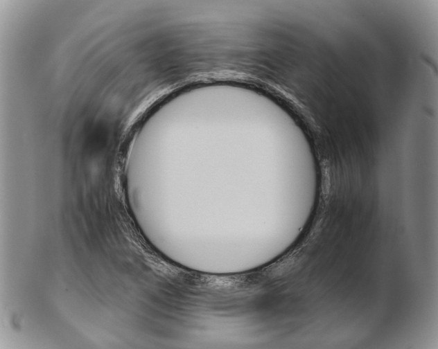 X0000103141266200808221056