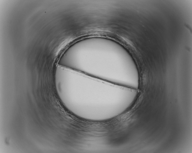 X0000103141267200808221056