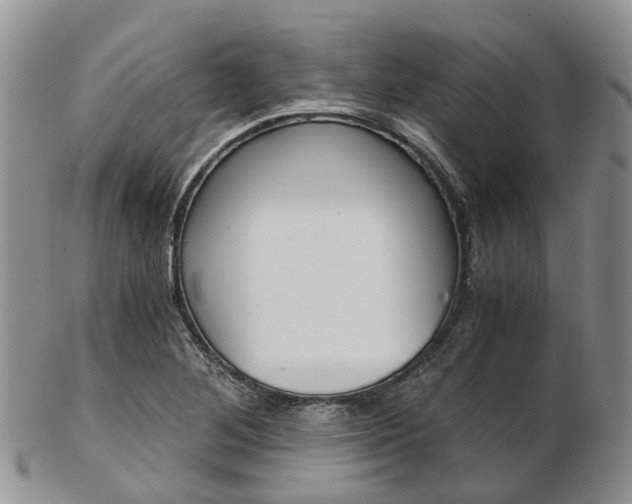 X0000103141268200808221056