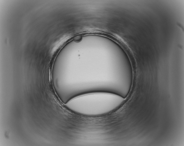 X0000103141269200808221056