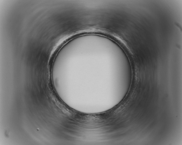 X0000103141270200808221056