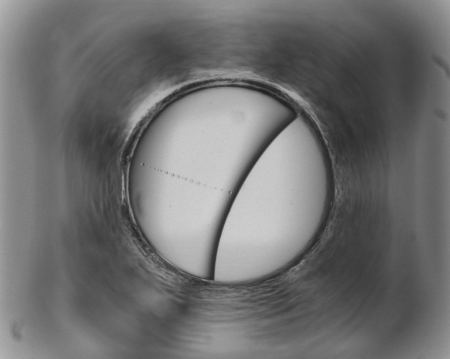 X0000103141271200808221056