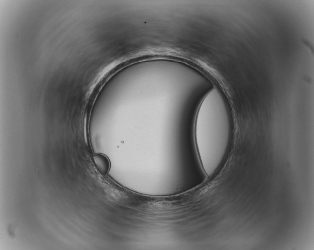 X0000103141272200808221056