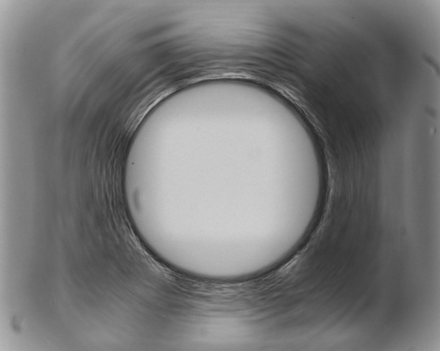 X0000103141273200808221056