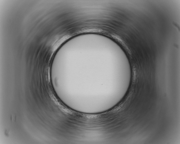 X0000103141274200808221056