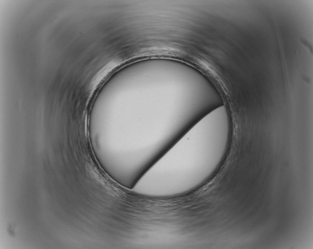 X0000103141275200808221056