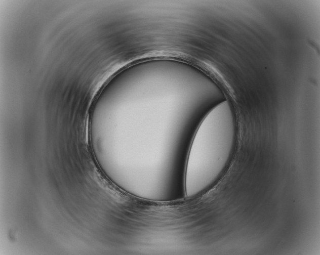 X0000103141276200808221056