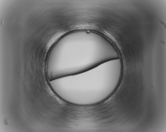 X0000103141277200808221056
