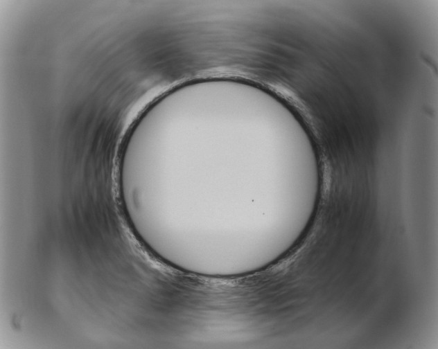 X0000103141278200808221056