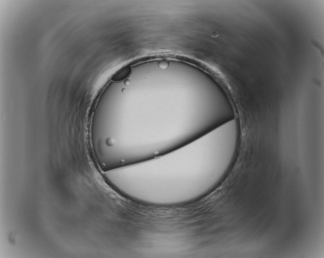 X0000103141279200808221056
