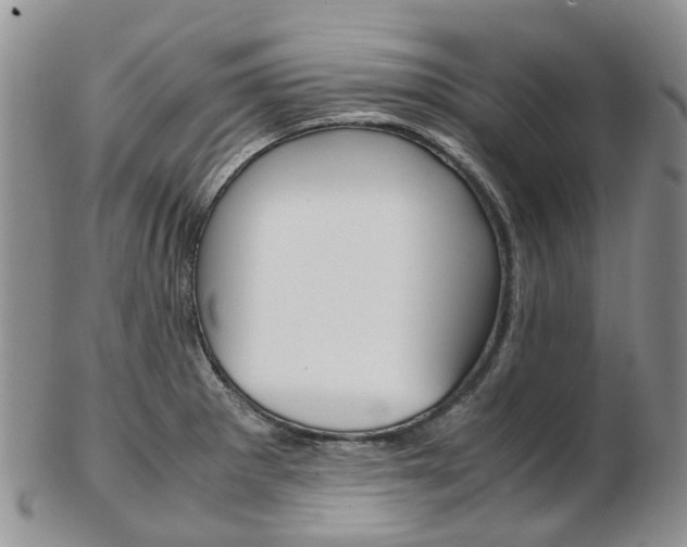 X0000103141281200808221056