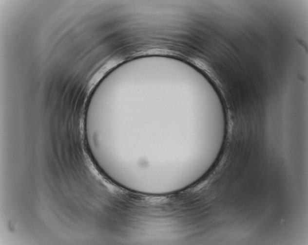 X0000103141282200808221056