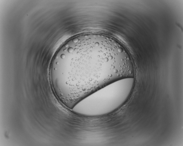 X0000103141283200808221056